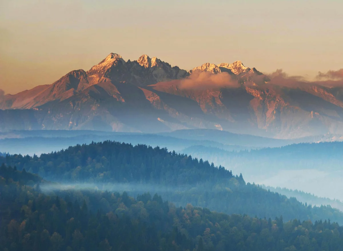 Problemy godne dobrego prawnika