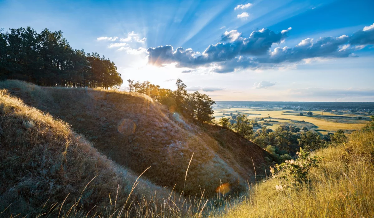 Dzisiaj krótko o drukarniach