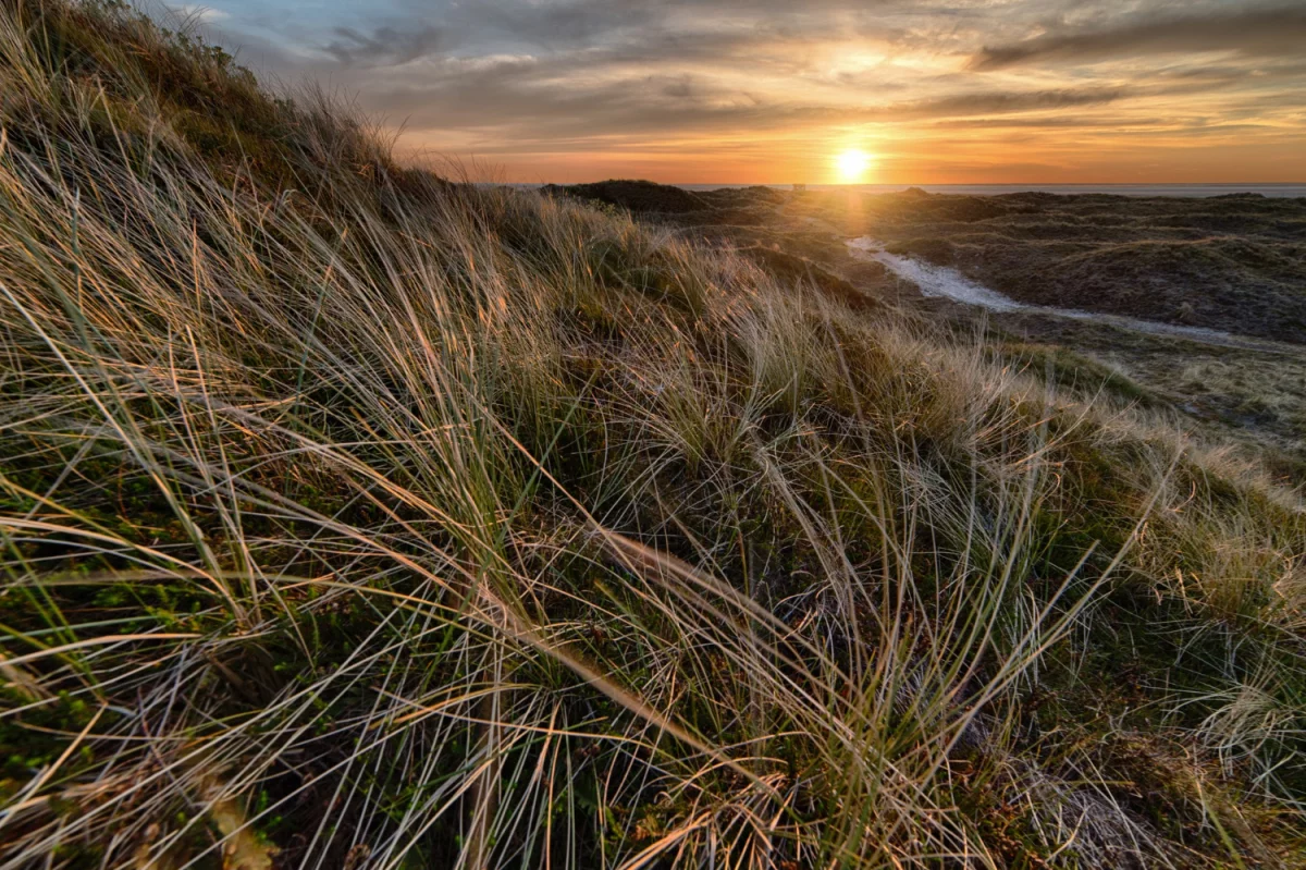 Dentysta - co warto wiedzieć przed wizytą?