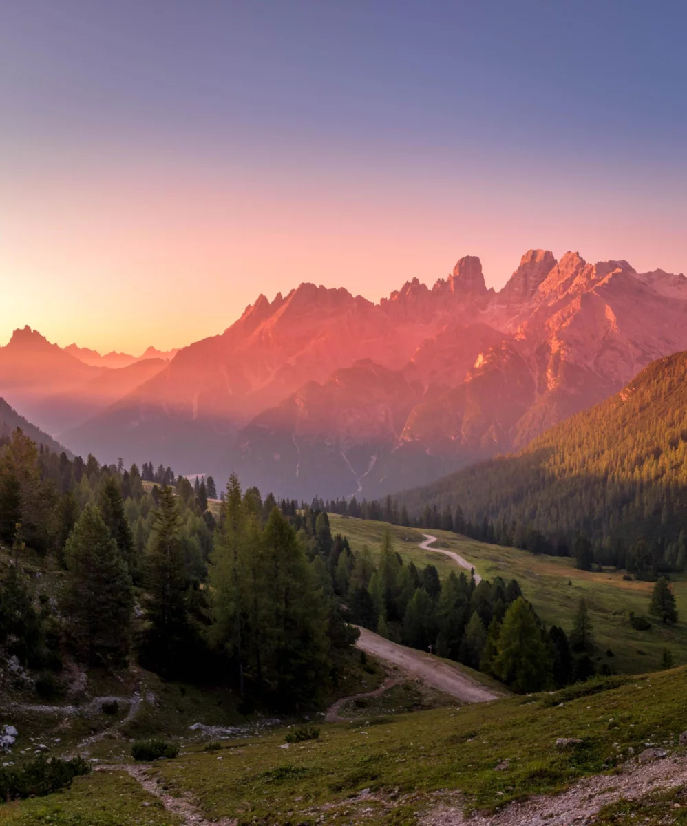 Koszowe podnośniki - do czego są potrzebne