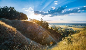 Czy można zakupić klimatyzację w niedzielę?